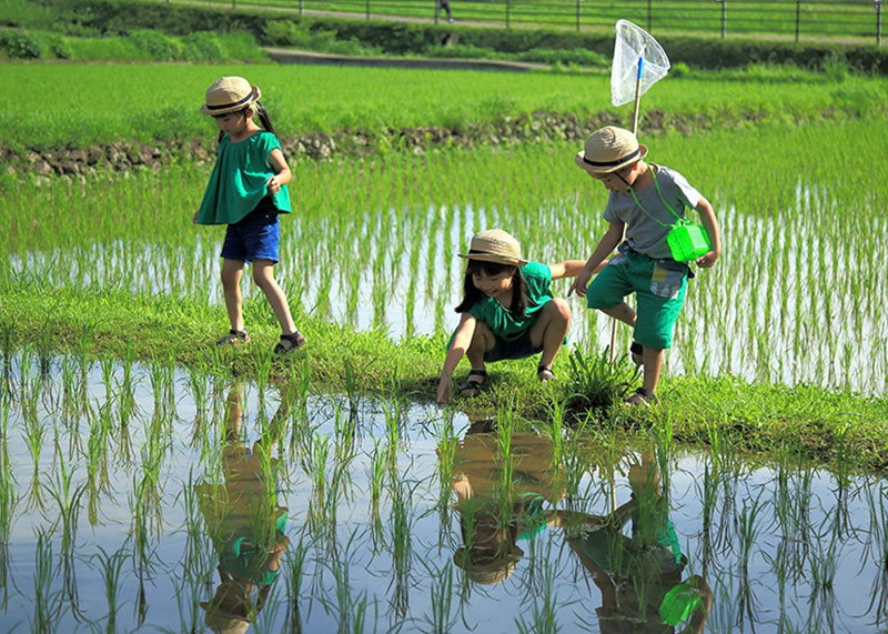 日本水?dāng)z影大賽33屆入圍獎項(xiàng)作品集錦