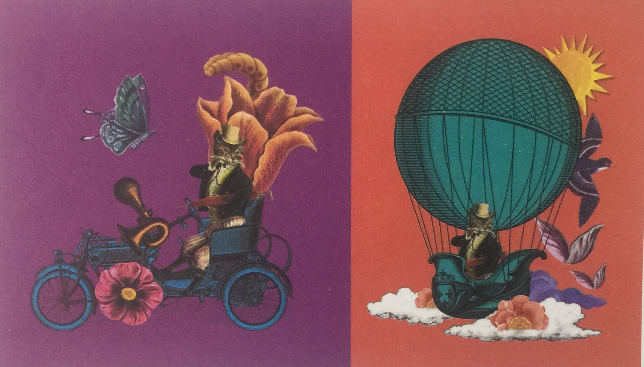 一則諺語(yǔ)引發(fā)的松露巧克力食品包裝設(shè)計(jì)