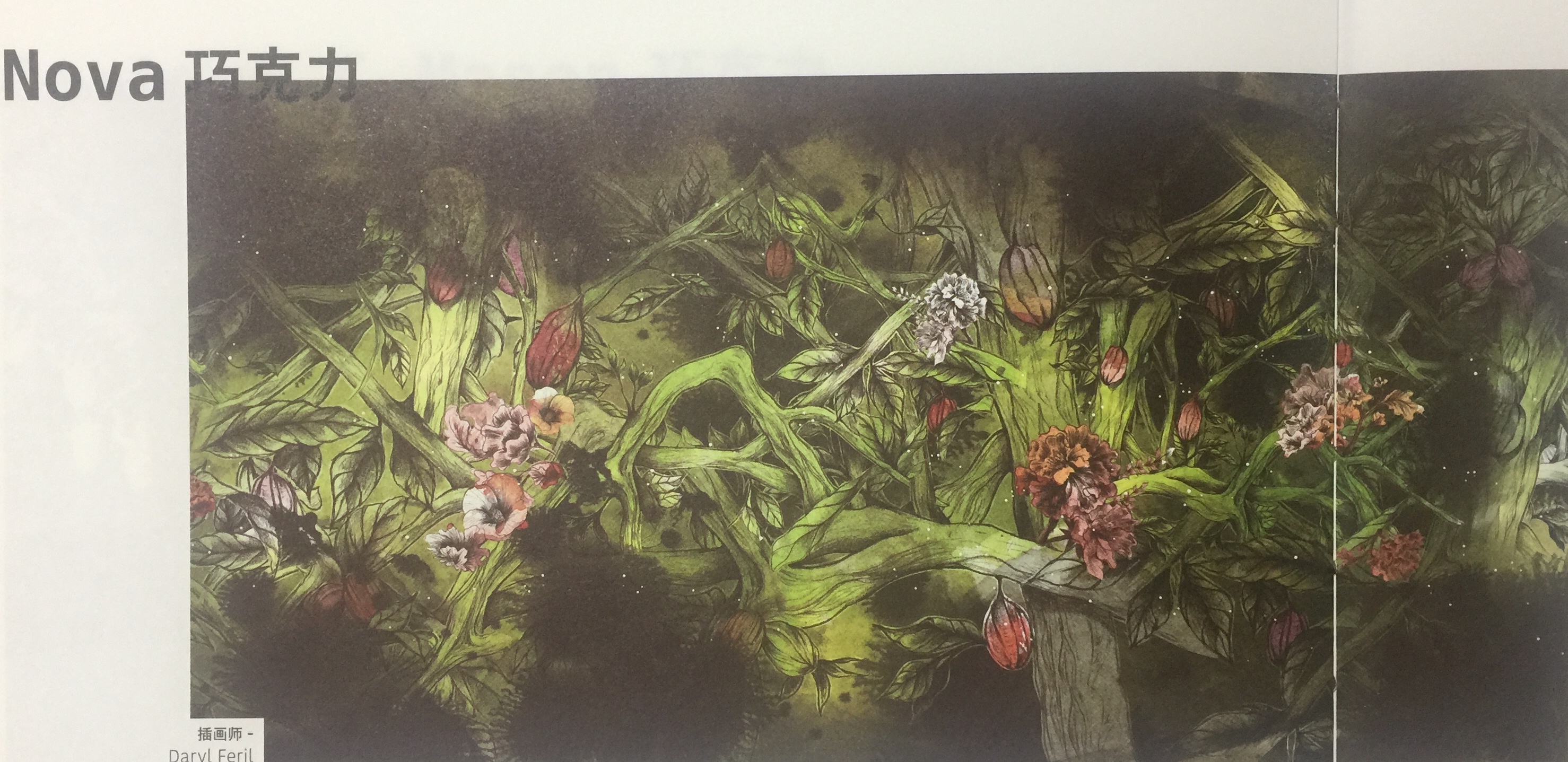 天然、綠色的休閑食品巧克力包裝設計