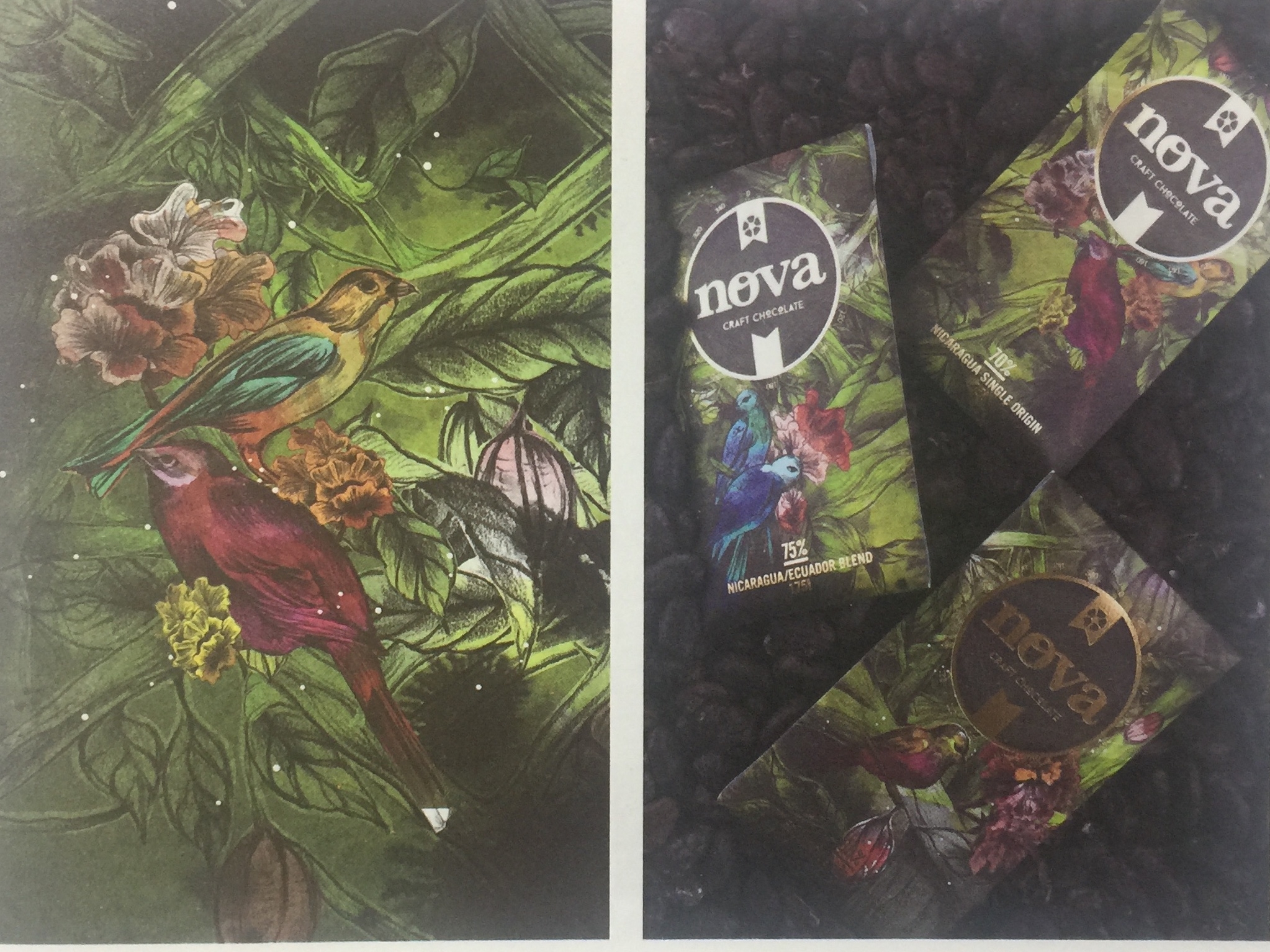 天然、綠色的休閑食品巧克力包裝設計