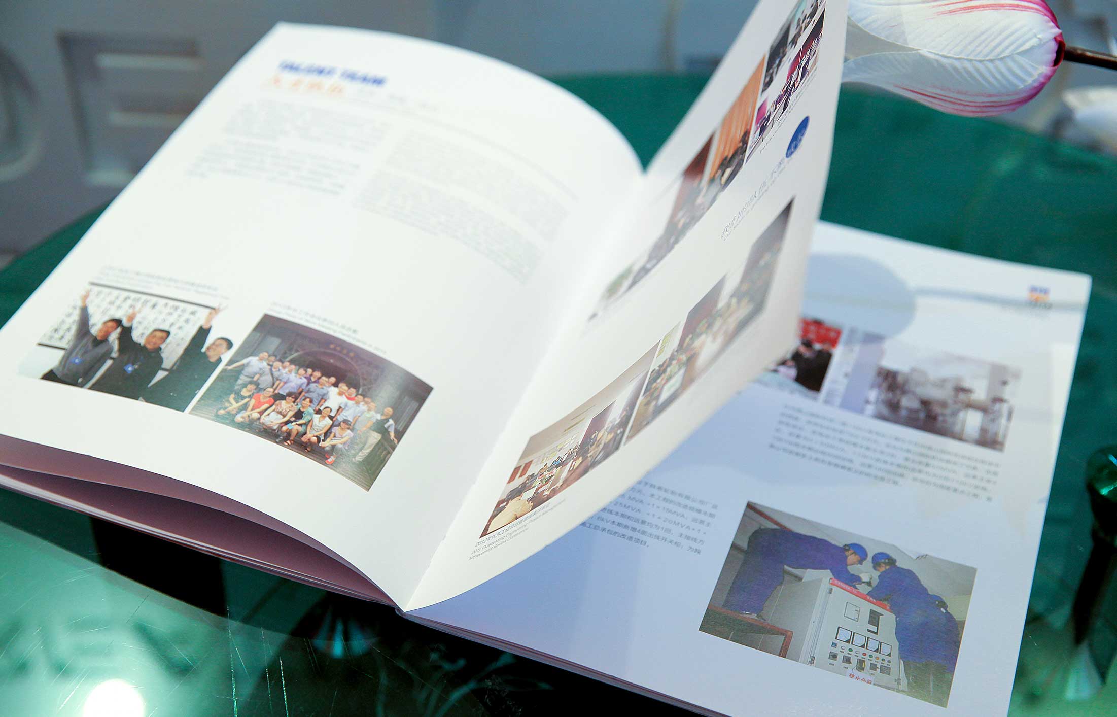 交聯(lián)集團交聯(lián)電氣畫冊