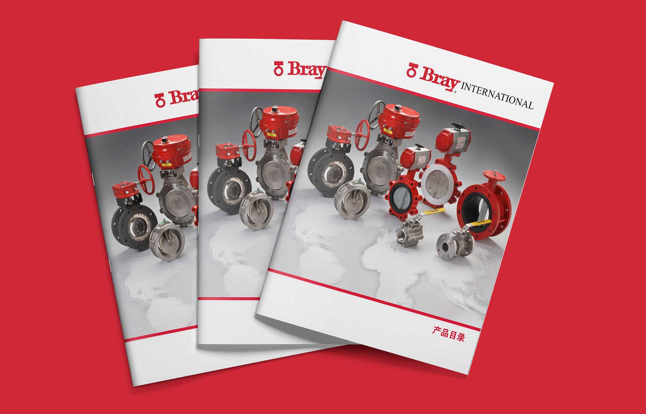 美國(guó)博雷國(guó)際閥門(mén)畫(huà)冊(cè)